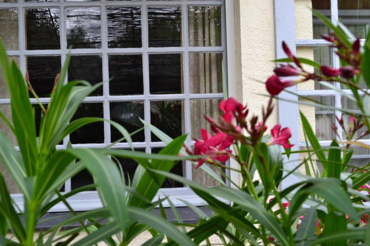 Bed and Breakfast Maison D'Hotes La Chouanniere Les Bois-d'Anjou Exterior foto