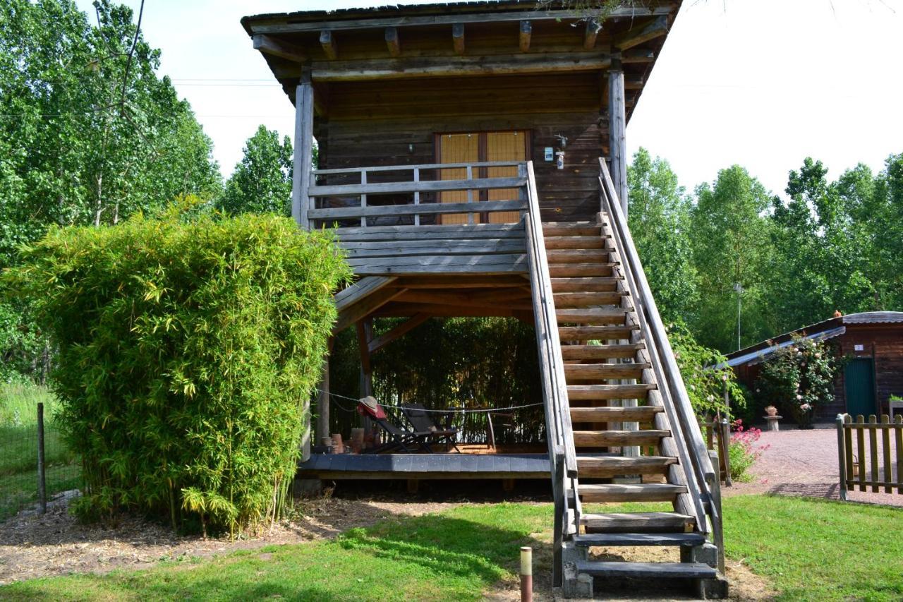 Bed and Breakfast Maison D'Hotes La Chouanniere Les Bois-d'Anjou Exterior foto