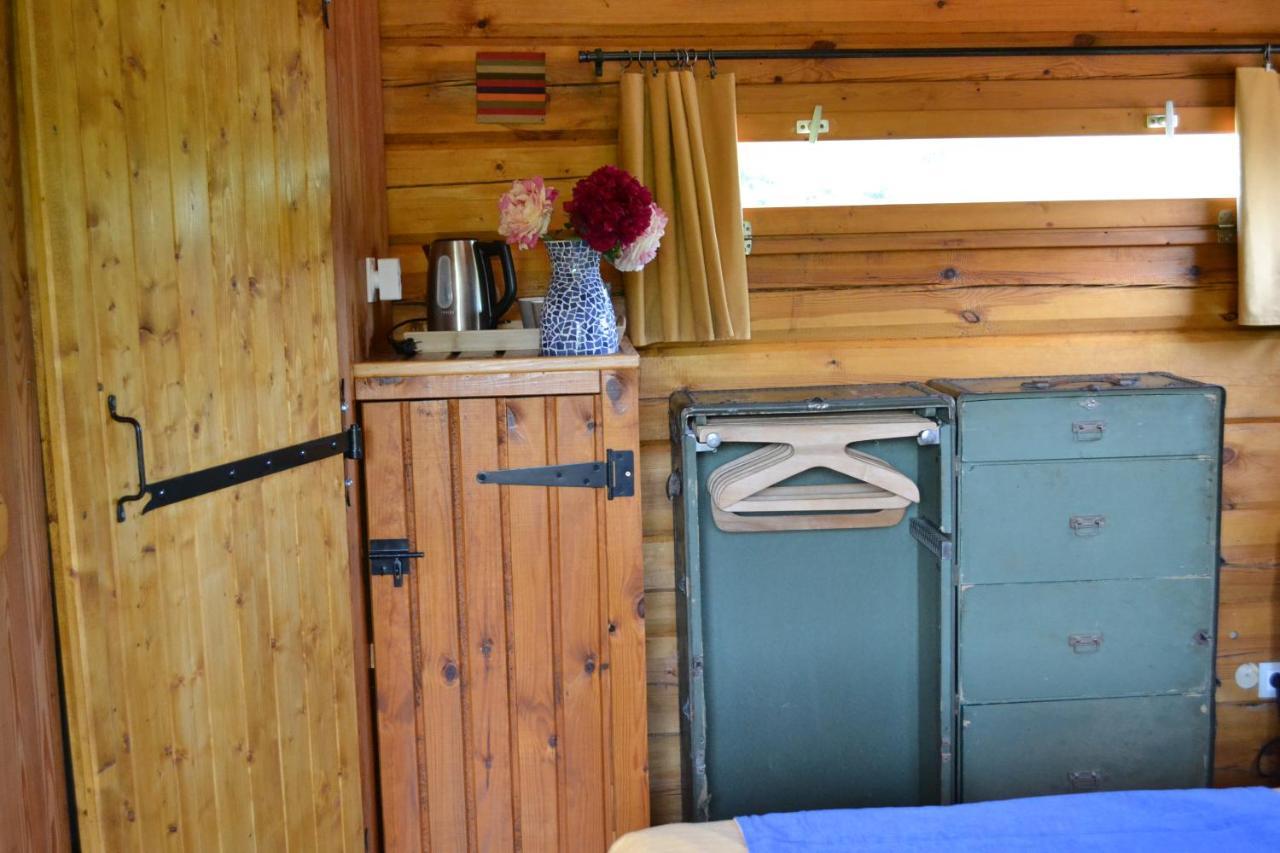 Bed and Breakfast Maison D'Hotes La Chouanniere Les Bois-d'Anjou Exterior foto