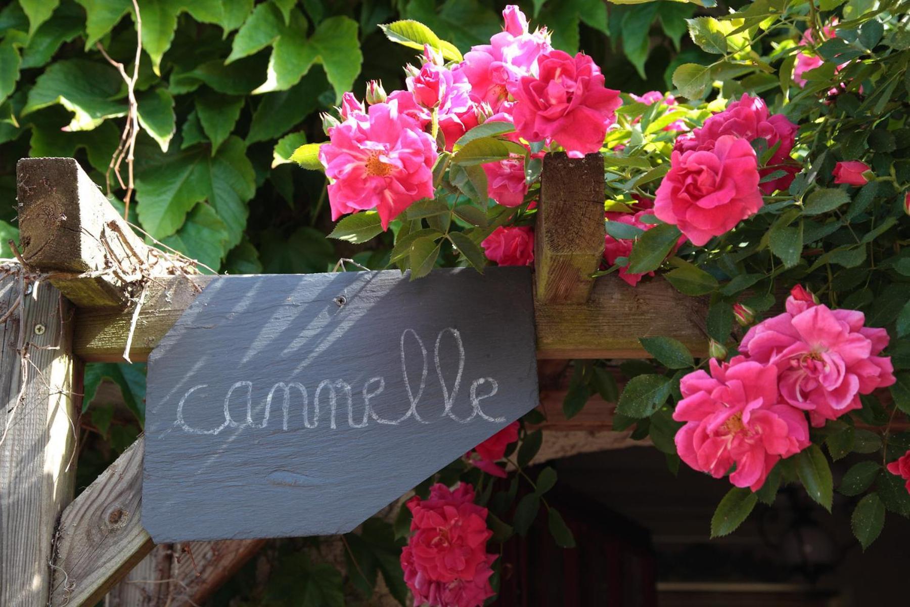 Bed and Breakfast Maison D'Hotes La Chouanniere Les Bois-d'Anjou Exterior foto